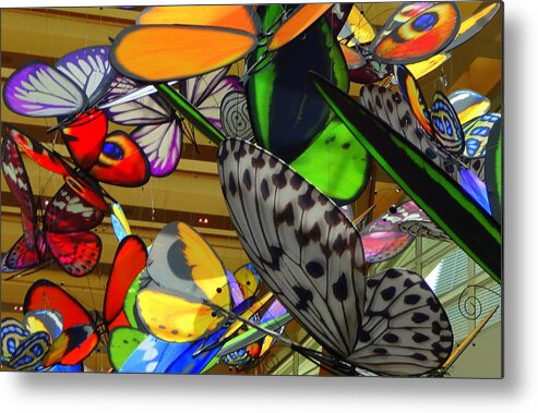 Butterflies Metal Print featuring the photograph Butterflies are Free by Donna Spadola