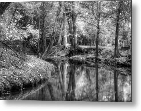 Autumn Metal Print featuring the photograph Butternut Creek Autumn in Black and White by Greg and Chrystal Mimbs