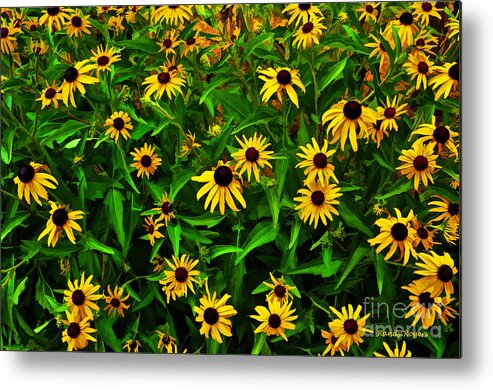 Flowers Metal Print featuring the photograph Buzzing Black Eyes by Randy Rogers