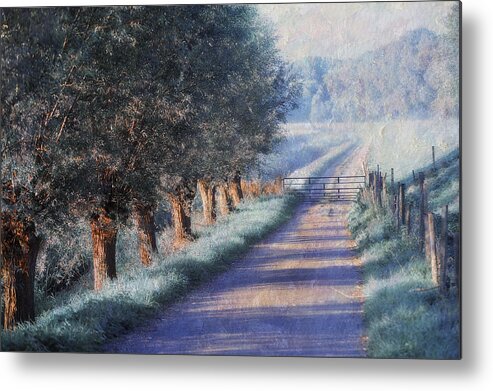 Dream Metal Print featuring the photograph By Road of Your Dream. Monet Style by Jenny Rainbow