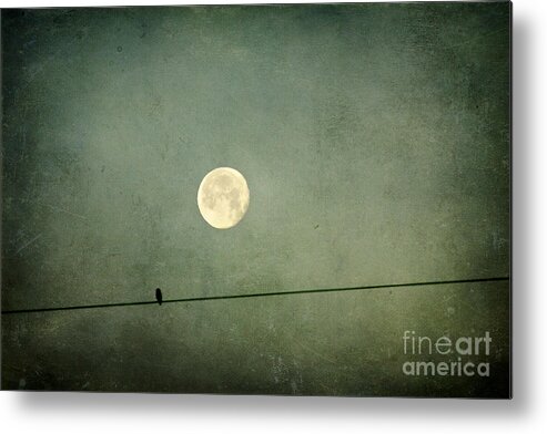 Moon Metal Print featuring the photograph By the Light of the Moon by Joan McCool