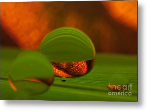 Raindrop Metal Print featuring the photograph C Ribet Orbscape 1097 by C Ribet