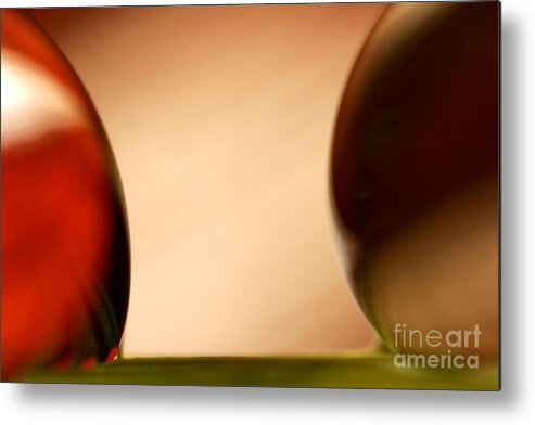 Raindrop Metal Print featuring the photograph C Ribet Orbscape 1101 by C Ribet
