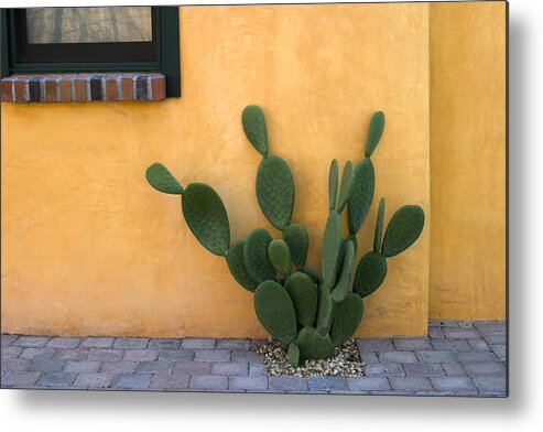 Tucson Metal Print featuring the photograph Cactus and Yellow Wall by Carol Leigh