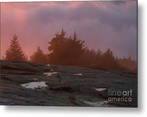 Acadia Metal Print featuring the photograph Cadillac Mountain Sunset by Chris Scroggins
