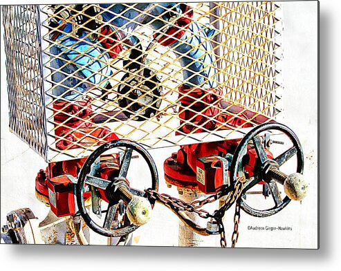 Caged Metal Print featuring the photograph Caged Industrial Valves by Audreen Gieger