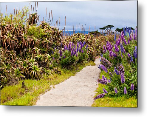 Walkway Metal Print featuring the photograph California Coastline Path by Melinda Ledsome