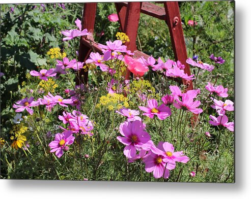 Landscapes Metal Print featuring the photograph Cambria Garden 2 by Douglas Miller