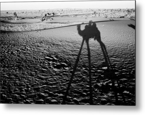 Camel Metal Print featuring the photograph Camel Shadow by Gaurav Singh