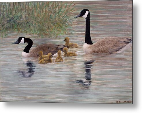 Canada Goose Metal Print featuring the painting Canada Goose Family by Kathleen McDermott