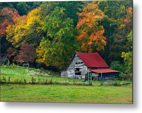 Appalachia Metal Print featuring the photograph Candy Mountain by Debra and Dave Vanderlaan