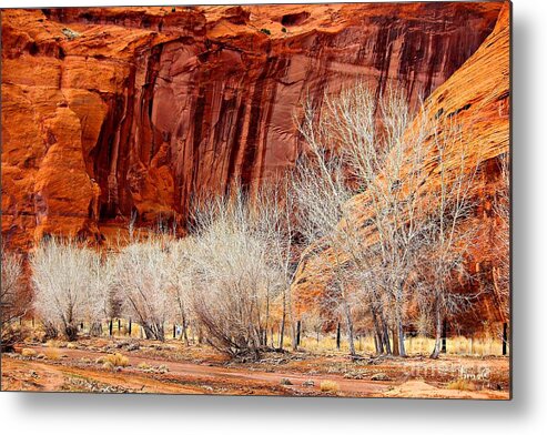 Canyons Metal Print featuring the photograph Canyon de Chelly - Spring II by Barbara Zahno