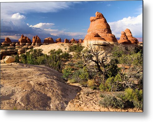 Canyonlands Metal Print featuring the photograph Canyonlands National Park by Adam Jewell