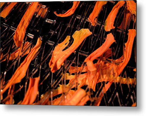 Food Metal Print featuring the photograph Carrot Slices by Scott Carlton