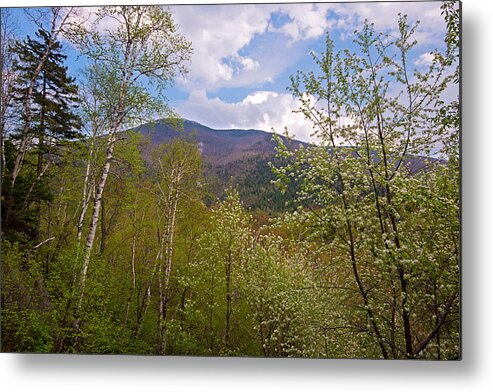 Photography Metal Print featuring the photograph Cascade Mountain Viewed Through Spring by Panoramic Images