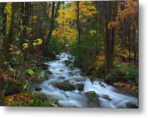 Art Prints Metal Print featuring the photograph Cascades on the Motor Nature Trail by Nunweiler Photography