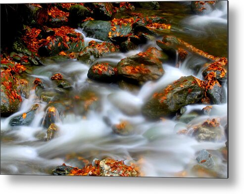 Cascading Stream Metal Print featuring the photograph Cascading Stream by Suzanne DeGeorge