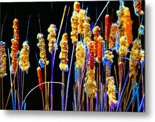 Beautiful Metal Print featuring the mixed media Cattail Colors by Brian Stevens