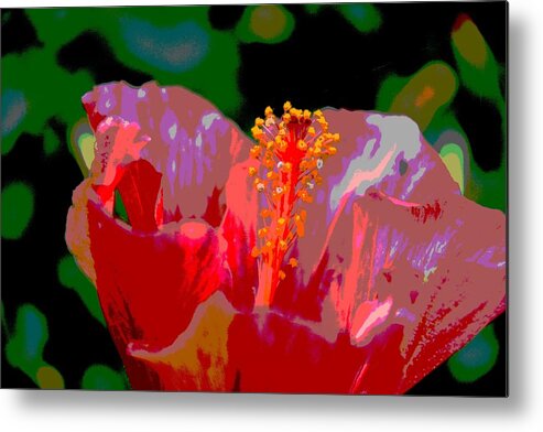 Hibiscus Metal Print featuring the photograph Celebration by Linda Bailey