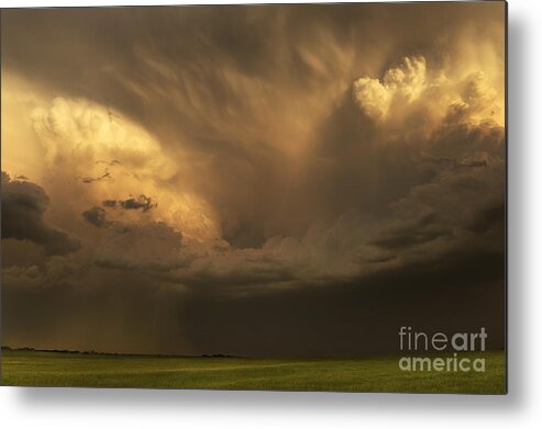 Ryan Smith Metal Print featuring the photograph Celebration Of Life by Ryan Smith