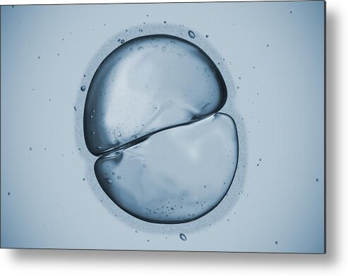 Stem Cell Metal Print featuring the photograph Cell by Ugurhan