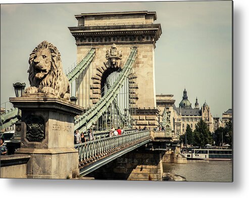 Animal Representation Metal Print featuring the photograph Chain Bridge Crossing The Danube River by Tim Martin