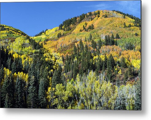 San Juan Mountains Metal Print featuring the photograph Changing Colors by Bob Phillips