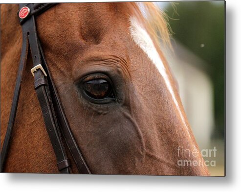 Horse Metal Print featuring the photograph Chestnut Horse Eye by Janice Byer