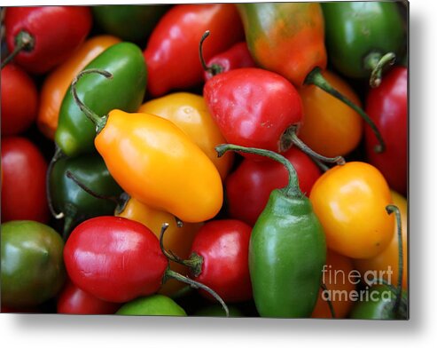 Food And Beverage Metal Print featuring the photograph Rocoto Chili Peppers by James Brunker
