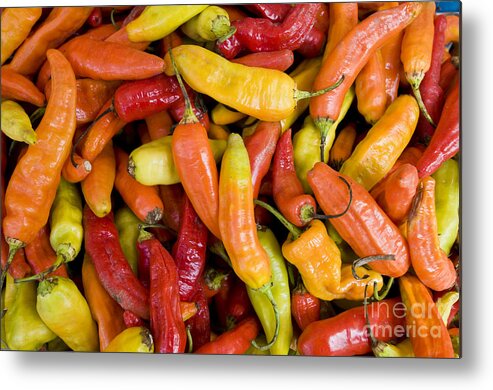 Peppers Metal Print featuring the photograph Chili Peppers by William H. Mullins