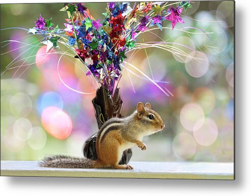 Chippy Metal Print featuring the photograph Chippy Party Time by Peggy Collins
