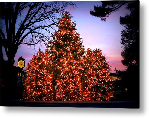 Christmas Metal Print featuring the photograph Christmas at The New York Botanical Garden by Aurelio Zucco