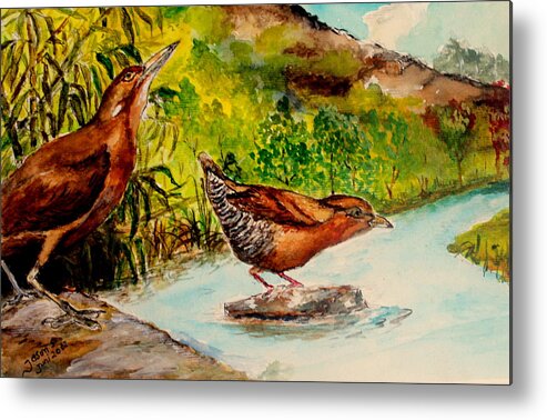  Chestnut Bittern Metal Print featuring the painting Cinnamon Bittern by Jason Sentuf