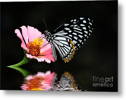 Butterfly Metal Print featuring the photograph Cliche by Lois Bryan