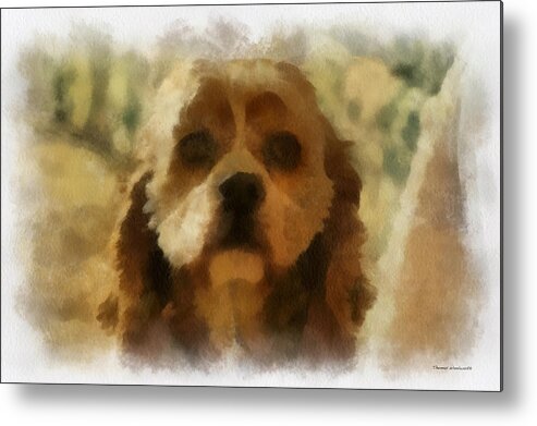 Spaniel Metal Print featuring the photograph Cocker Spaniel Photo Art 09 by Thomas Woolworth