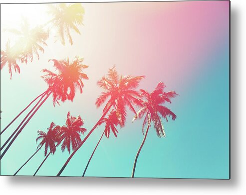 Water's Edge Metal Print featuring the photograph Coconut Trees And Turquoise Indian Ocean by Danilovi