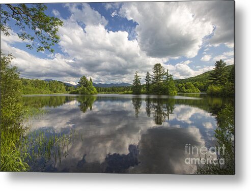 Coffin Pond Metal Print featuring the photograph Coffin Pond - Sugar Hill New Hampshire by Erin Paul Donovan