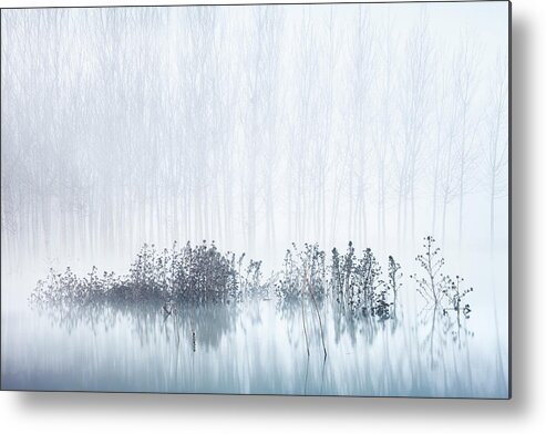 Swamp Metal Print featuring the photograph Cold & Foggy Morning In The Swamp by David Frutos