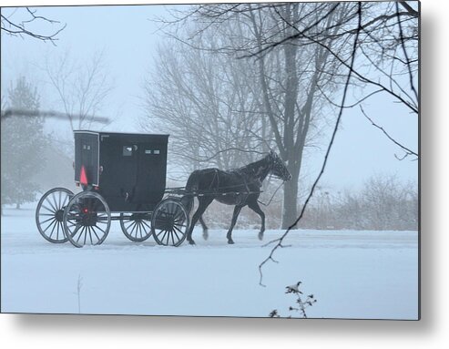 Amish Metal Print featuring the photograph Cold Amish Morning by David Arment