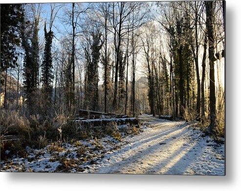 Landscape Metal Print featuring the photograph Cold morning by Felicia Tica