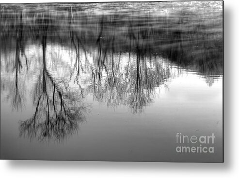 River Monochrome Metal Print featuring the photograph Cold Reflection by Michael Eingle