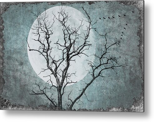 Tree Metal Print featuring the photograph Cold Winter Night by Cathy Kovarik