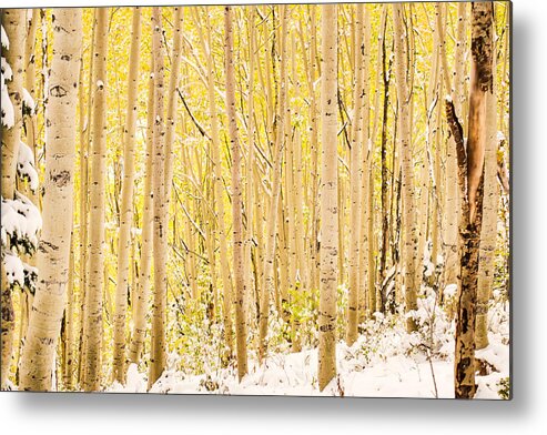 Aspen Metal Print featuring the photograph Colored Pencils by Emily Dickey