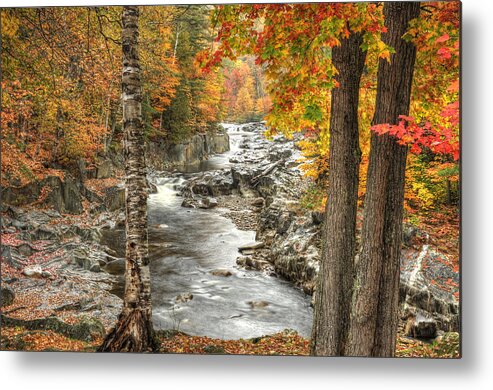 Photograph Metal Print featuring the photograph Colorful Creek by Richard Gehlbach