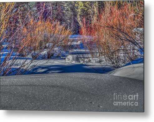 Landscape Metal Print featuring the photograph Colorful despite snow by Franz Zarda