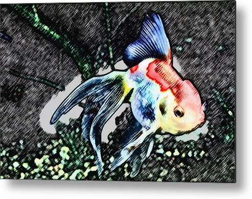 Animal Metal Print featuring the photograph Colorful Fantail Goldfish by Wernher Krutein