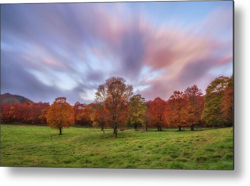 Tranquility Metal Print featuring the photograph Colorful Trees Of A Farm In Aomori by Agustin Rafael C. Reyes