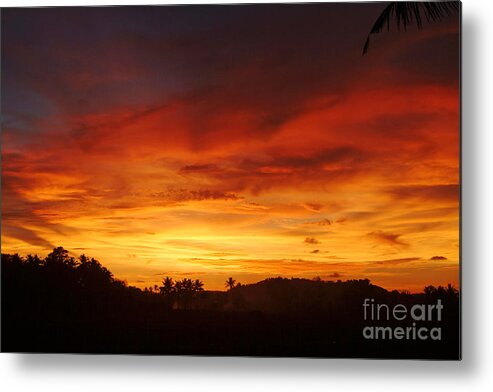 Colors Metal Print featuring the photograph Colors by Dattaram Gawade