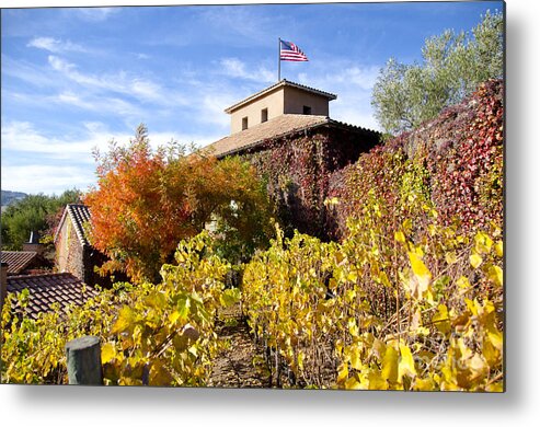 Fall Metal Print featuring the digital art Colors of Fall by Pravine Chester
