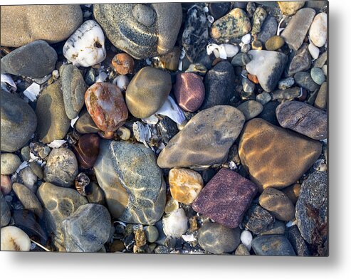 Andrew Pacheco Metal Print featuring the photograph Colors of The Coast by Andrew Pacheco